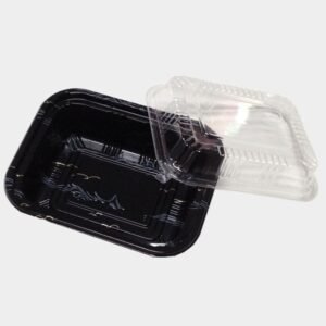 Disposable sushi tray TZ-805K with lid 600 case PS plastic